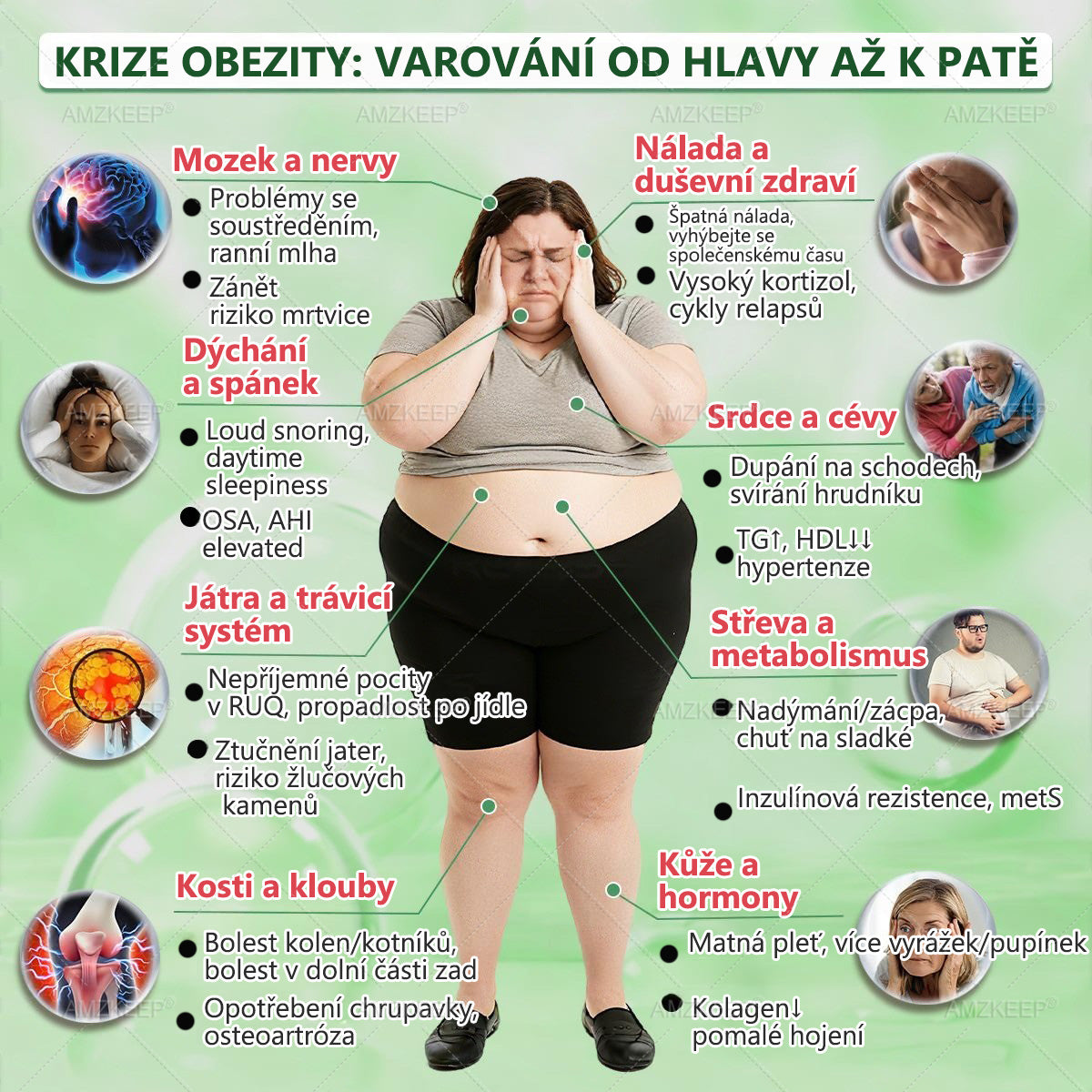 Jako vážený zákazník jste odemkli opravdu speciální bonus. Získejte 50% slevu, když si do objednávky přidáte další produkt AMZKEEP®. Tahle překvapivá nabídka platí jen krátkou dobu.