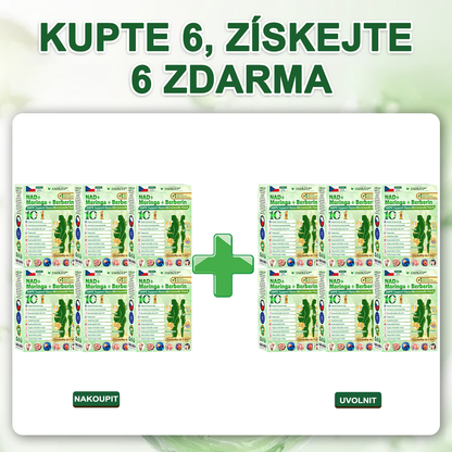 🏥 AMZKEEP® NAD+ Moringa Berberin AMPK nano-mikrojehličková náplast ✅ 1× denně, viditelné změny za 7 dní｜Berberin + moringa｜Na obezitu, povolenou kůži, cukrovku, spánkovou apnoi, kloubní potíže a další 💯🚀