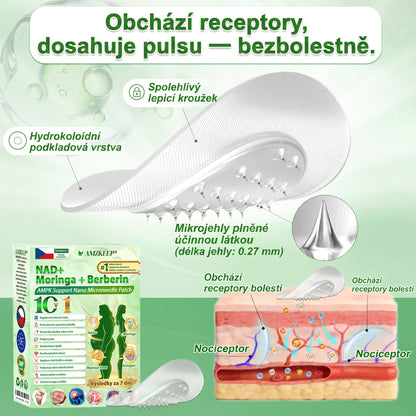 🏥 AMZKEEP® NAD+ Moringa Berberin AMPK nano-mikrojehličková náplast ✅ 1× denně, viditelné změny za 7 dní｜Berberin + moringa｜Na obezitu, povolenou kůži, cukrovku, spánkovou apnoi, kloubní potíže a další 💯🚀